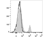 Elab Fluor® 488 Anti-Human CD40 Antibody[3A8]