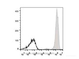 APC Anti-Human CD44 Antibody[P2A1]