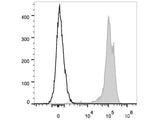 PE/Cyanine7 Anti-Human CD44 Antibody[P2A1]