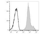 PE/Elab Fluor® 594 Anti-Human CD44 Antibody[P2A1]