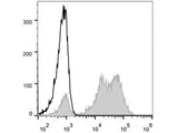 Elab Fluor® 488 Anti-Human CD5 Antibody[UCHT2]