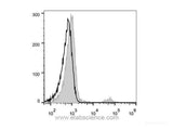 FITC Anti-Human CD20 Antibody[BCA/B20]