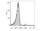 PE Anti-Human CD20 Antibody[BCA/B20]