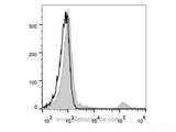 Elab Fluor® 488 Anti-Human CD20 Antibody[BCA/B20]