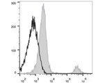 Elab Fluor® 647 Anti-Human CD20 Antibody[BCA/B20]