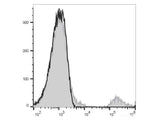 PE/Elab Fluor® 594 Anti-Human CD20 Antibody[BCA/B20]