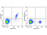 APC Anti-Human CD21 Antibody[BU32]