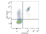 PE/Cyanine7 Anti-Human CD21 Antibody[BU32]