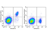 PE/Elab Fluor® 594 Anti-Human CD21 Antibody[BU32]