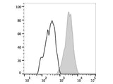 PerCP Anti-Human CD29 Antibody[TS2/16.2.1]