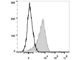 PE/Cyanine7 Anti-Human CD29 Antibody[TS2/16.2.1]