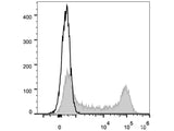 PE Anti-Human CD62L Antibody[DREG56]