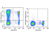 PE/Cyanine7 Anti-Human CD62L Antibody[DREG56]