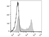 Elab Fluor® 488 Anti-Human CD62L Antibody[DREG56]