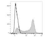 PE/Elab Fluor® 594 Anti-Human CD62L Antibody[DREG56]