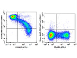 PE/Elab Fluor® 594 Anti-Human CD45RA Antibody[HI100]