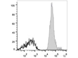 Elab Fluor® 647 Anti-Human CD147 Antibody[HIM6]