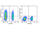 PE/Cyanine5 Anti-Human CD38 Antibody[HIT2]