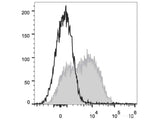 PE/Cyanine7 Anti-Human CD38 Antibody[HIT2]