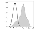 PE/Cyanine5.5 Anti-Human CD38 Antibody[HIT2]