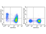 Elab Fluor® Red 780 Anti-Human CD38 Antibody[HIT2]