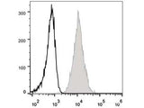 FITC Anti-Human CD47 Antibody[CC2C6D4]