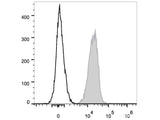 PE/Cyanine7 Anti-Human CD47 Antibody[CC2C6D4]