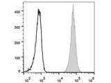 Elab Fluor® 488 Anti-Human CD47 Antibody[CC2C6D4]