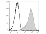 PE/Elab Fluor® 594 Anti-Human CD47 Antibody[CC2C6D4]