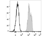 PE Anti-Human CD48 Antibody[156-4H9]