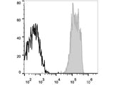 APC Anti-Human CD48 Antibody[156-4H9]