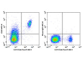 APC Anti-Human CD35 Antibody[E11]