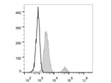 FITC Anti-Human CD37 Antibody[IPO-24]