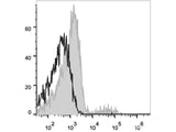 Elab Fluor® 647 Anti-Human CD37 Antibody[IPO-24]