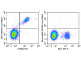 PE/Elab Fluor® 594 Anti-Human CD37 Antibody[IPO-24]