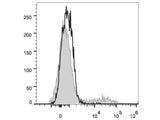 PE/Cyanine5 Anti-Human CD57 Antibody[HNK-1]