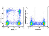 PE/Elab Fluor® 594 Anti-Human CD57 Antibody[HNK-1]