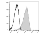 PE/Elab Fluor® 594 Anti-Human CD58 Antibody[TS2/9.1]