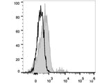 PE Anti-Human CD74 Antibody[LN2]