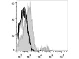 APC Anti-Human CD74 Antibody[LN2]