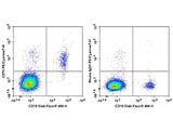 PE/Cyanine7 Anti-Human CD74 Antibody[LN2]