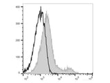 Elab Fluor® 647 Anti-Human CD74 Antibody[LN2]