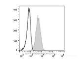 Elab Fluor® 488 Anti-Human CD81 Antibody[1.3.3.22]