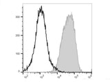 PE/Elab Fluor® 594 Anti-Human CD81 Antibody[1.3.3.22]