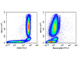 FITC Anti-Human CD32 Antibody[IV-3]