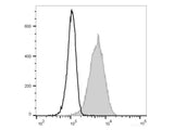 FITC Anti-Human CD10 Antibody[CB-CALLA]