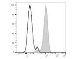 PE Anti-Human CD10 Antibody[CB-CALLA]