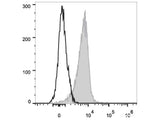 PE/Cyanine7 Anti-Human CD10 Antibody[CB-CALLA]