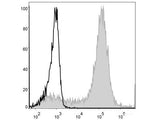 PE Anti-Mouse/Human CD11b Antibody[M1/70]