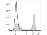 PE/Cyanine7 Anti-Mouse/Human CD11b Antibody[M1/70]